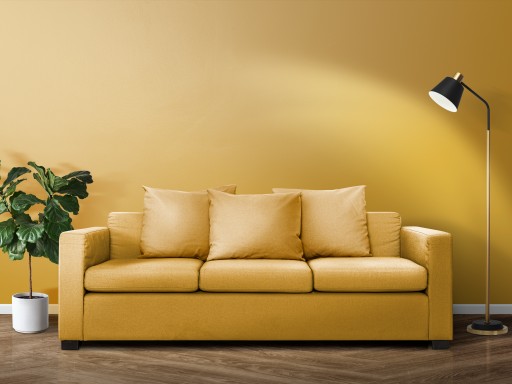 Sofa Cleaning Services